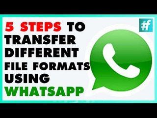 How To Transfer Any Data Using Whatsapp