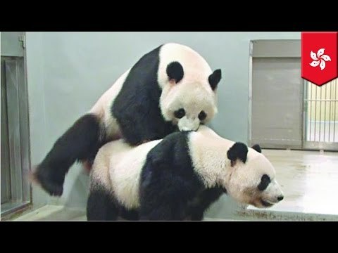 60% kobiet z Hong Kongu nie jest zaspokajana jak należy.