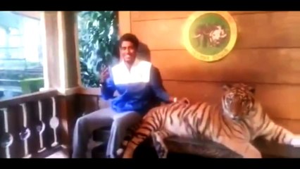 #16 Lustige Videos Лучшие приколы 2015 (Funny, fail compilation) 楽しい 2015 面白い動画 __ 不覚にも笑ってしまった面白い動画