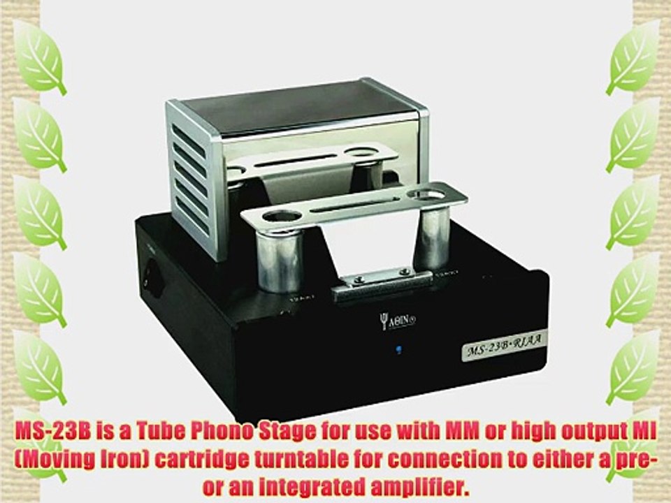 YAQIN MS23B upgraded version of MS22B 12AX7B X2 Stereo Tube Phono Stage