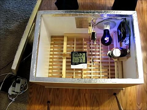 Homemade Incubator with Fan, Thermostat, and Automatic Egg Turner