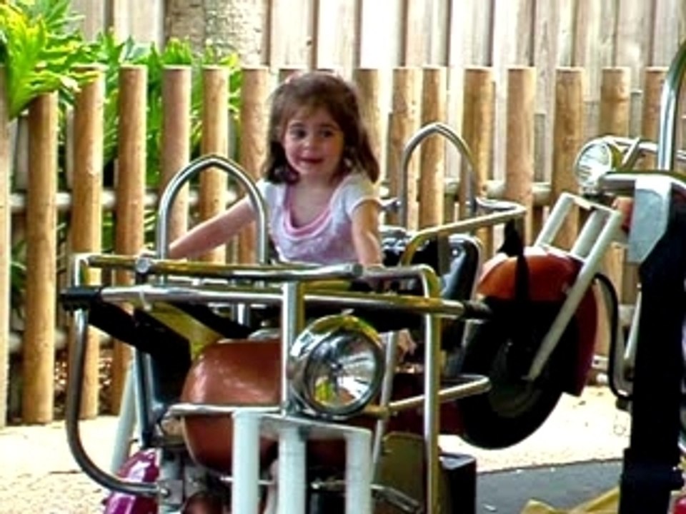 Biker Chick