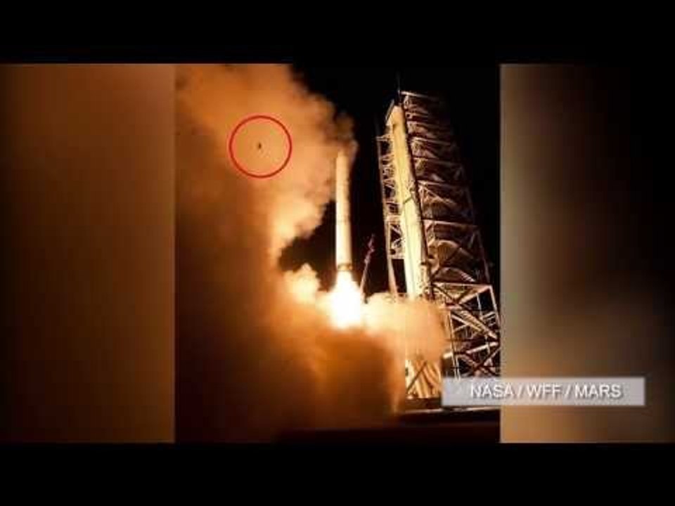 PHOTO: Isang palaka, naging sorpresang bida sa NASA rocket launch