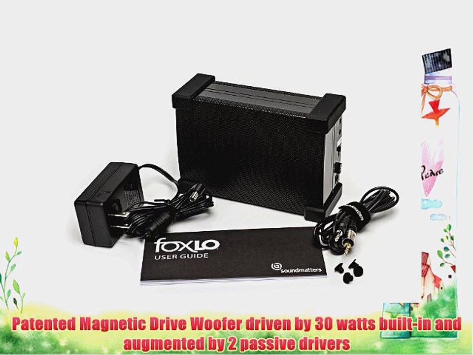 Soundmatters foxLO Palm-Sized Powered Subwoofer - US Version (Black)