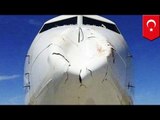 Airplane crashes into big fat bird: Turkish Airlines jet bird strike does damage - TomoNews