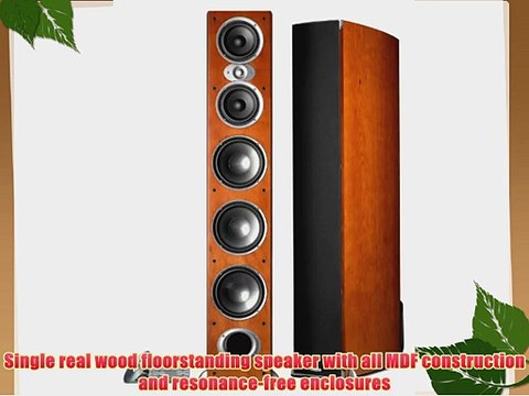Polk Audio RTI A9 Floorstanding Speaker (Single Cherry)