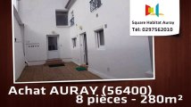 A vendre - Immeuble - AURAY (56400) - 8 pièces - 280m²
