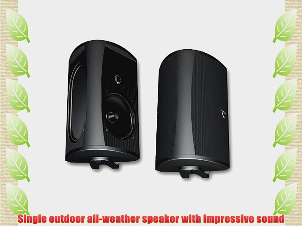 Definitive Technology AW 6500 Outdoor Speaker (Single Black)