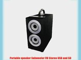 Axess SP1003-SL Music Box Speaker with Subwoofer Includes FM Stereo SD/USB/Line-In Inputs (Silver)