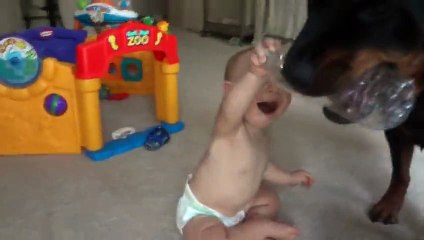 Rottweiler and Baby Playing With Plastic Bottle