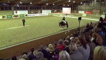 Das Pferd an die Hand reiten (Klaus Balkenhol - Die Alten Meister) Leverkusen Teil 1f
