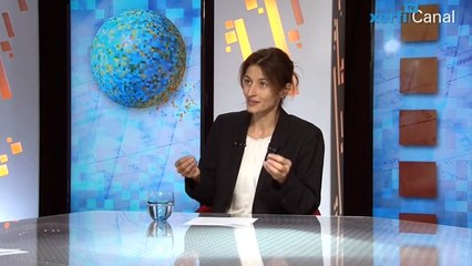 Natacha Valla, Xerfi Canal Comment le QE européen pourrait stimuler l'investissement ?