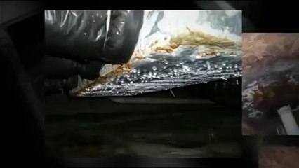 Sealed Crawl Space Raleigh