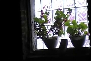 Jay and the Americans - Come A Little Bit Closer