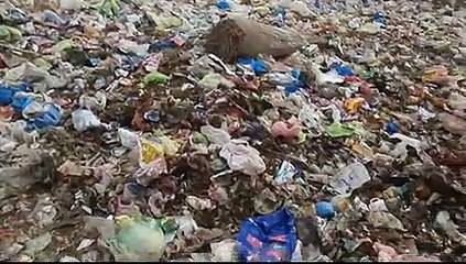 Naveed Akhtar Hashmi reporting about filth.City 442