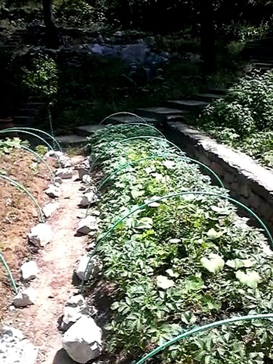 butte permaculture electroculture a carnoux