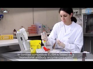 Enzyme Linked Immunosorbent assay. Competitive and Indirect (ELISA)