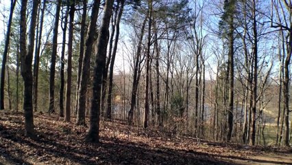 The Psychology of Philosophy