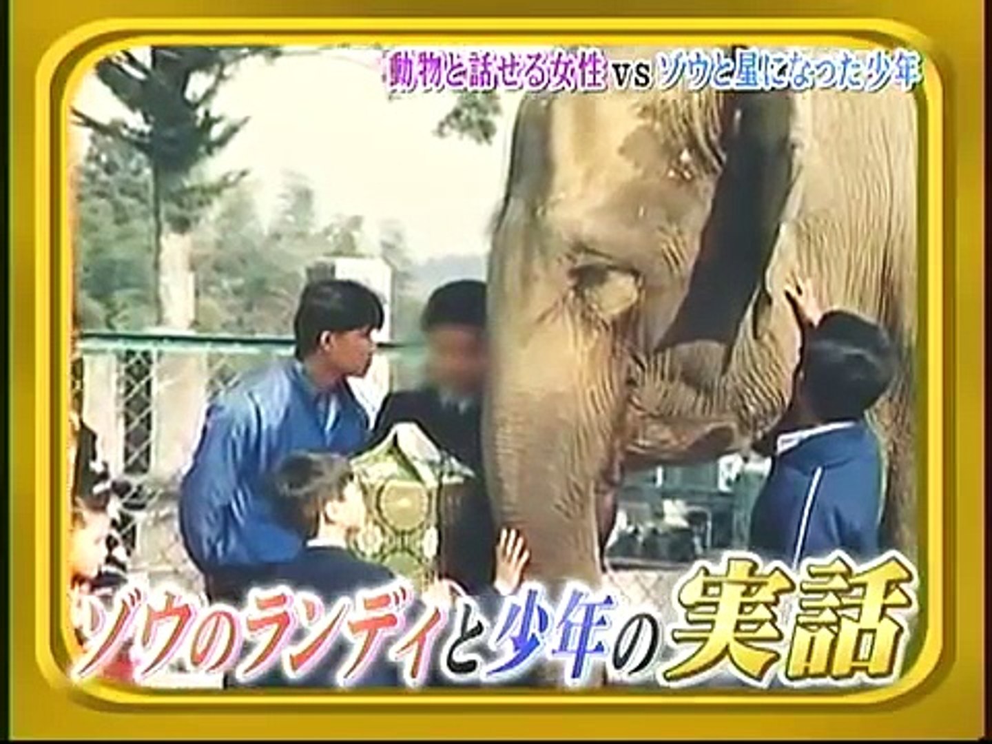 ゾウが天国の少年と１３年ぶり再会 1 Video Dailymotion