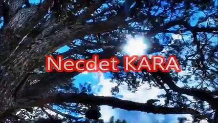 Işınlanma Deneyi -Philadelphia-Rainbow Project