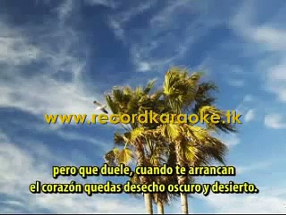 QUIEN CURA KARAOKE GRUPO 5 video Dailymotion