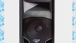 Pyle-Pro PADH1549 15'' 1000 Watts 2-Way Speaker Cabinet