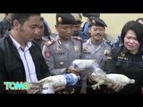 印尼走私猖獗 瀕臨絕種鳥類塞塑膠罐