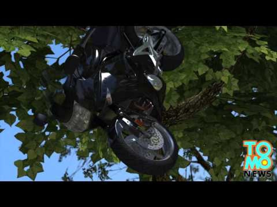 童子軍砍樹，騎士撞樹身亡