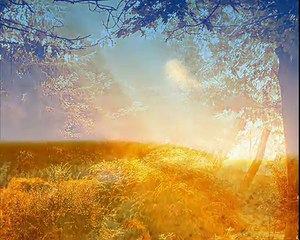 Fields of gold - Eva Cassidy (Cover)