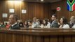 Oscar Pistorius trial: Witness describes 'screaming' after Steenkamp shooting