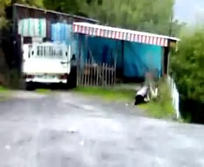 ŞAHİNTEPE ET TESİSİ TRABZON MRK.DOĞANÇAY KÖYÜ