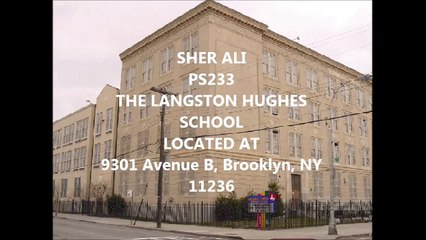 SHER QUAKER PARROT SHER MIDWOOD HIGH SCHOOL AT BROOKLYN COLLEGE CUNY PS233 MEYER