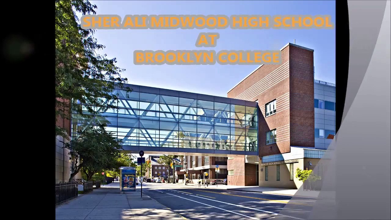 sher quaker parrot sher midwood high school at brooklyn college