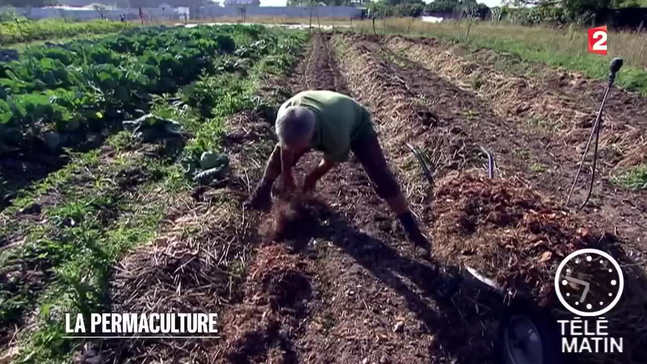 Jardin - La permaculture