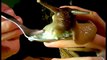 Giant Cute Snail Is Eating From The Spoon - Funny Achatina snail