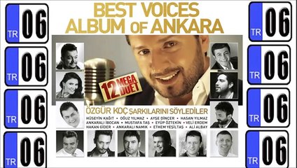 Ayşe Dinçer - Perimisin Cinmisin (2015)