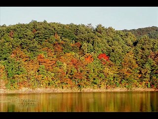 人魚姫～マーメイド　Princess Mermaid 　藤原浩哲/Hiroaki Fujiwara