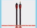 Audioquest Cinnamon 5.0m (16'5) Toslink Fiber Optic Digital Audio Cable