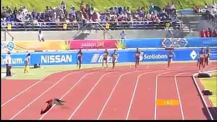 PLATA PARA MÉXICO (Gabriela Medina) - 800 Metros Atletismo