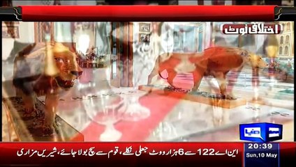 Babar Awan Doing Camparision Of Nawaz Shareef Home With White House And 10 Downing Street-848x480