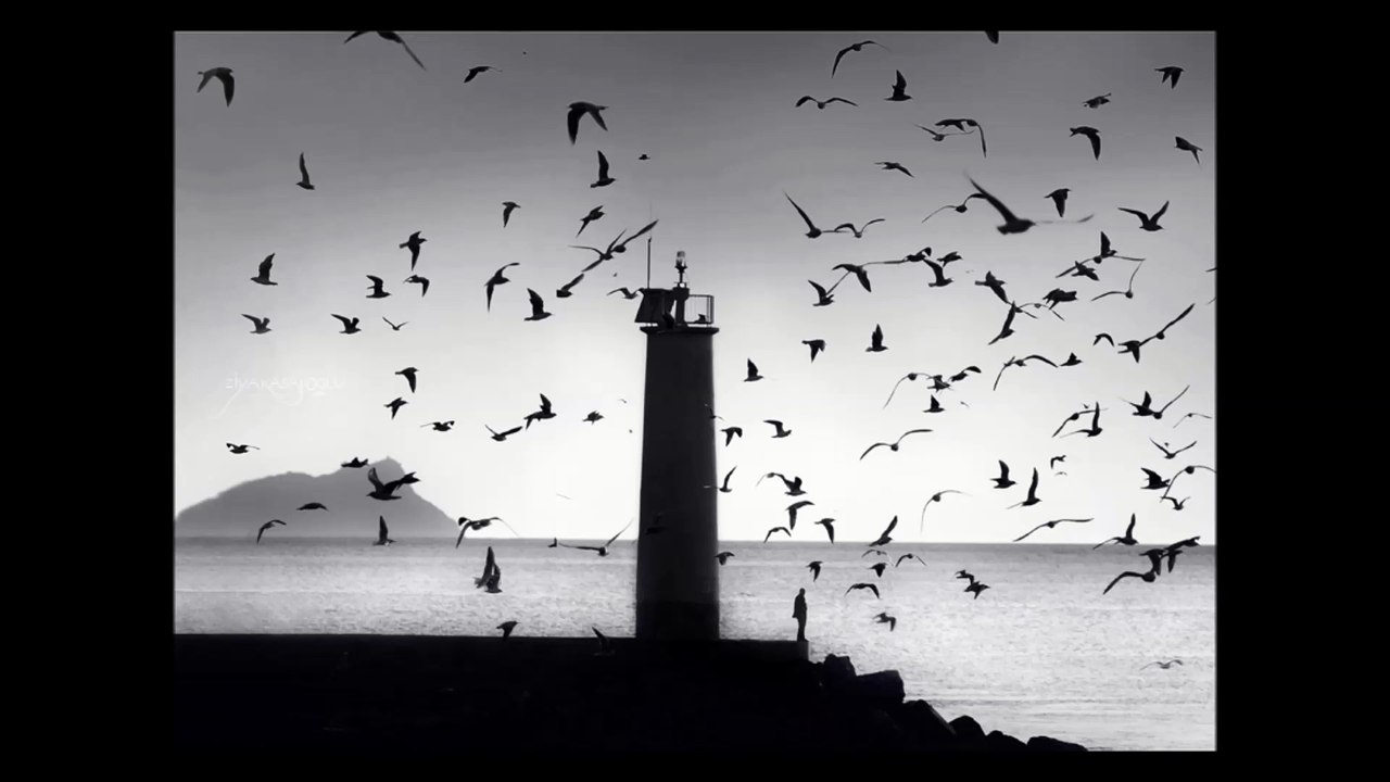 Oracles Always Lies - Birds Were Following Him