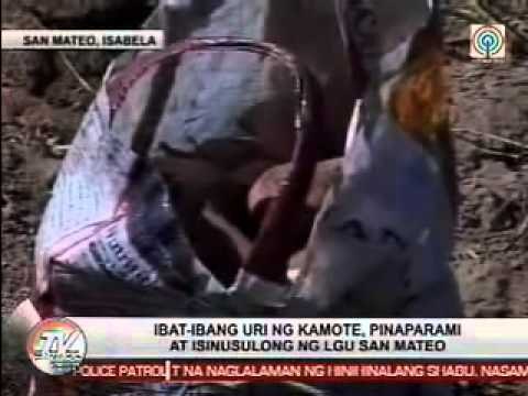 TV Patrol Cagayan Valley - February 26, 2015