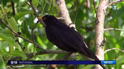 Réchauffement climatique : les Saints de glace dépassés ?