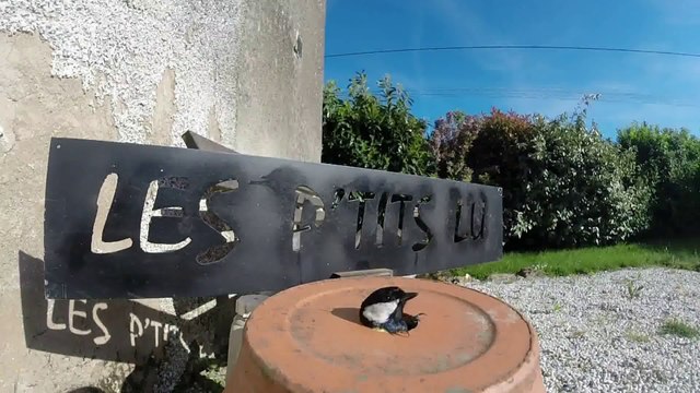 Rando du Gesvres à Treillieres, les p'tits lu