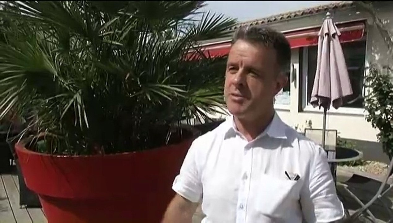 Aux Sables-d'Olonne, la campagne de stérilisation des œufs de goélands est lancée