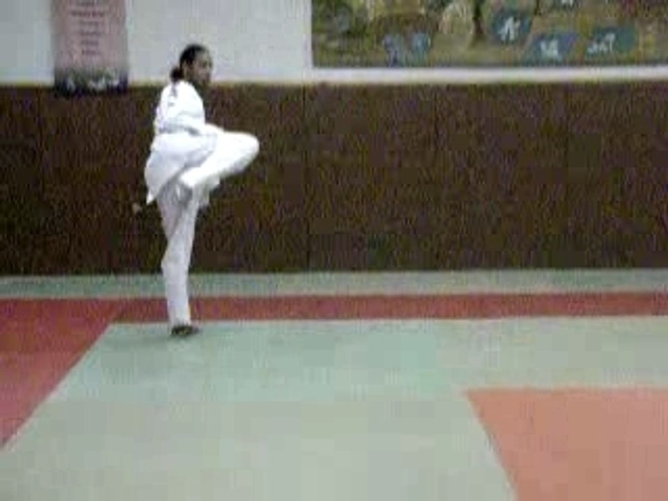 Technique de pied passage grade 03/07