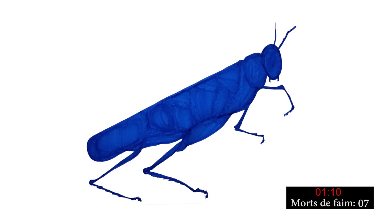 Les cigales et les fourmis - Lycée français de Budapest