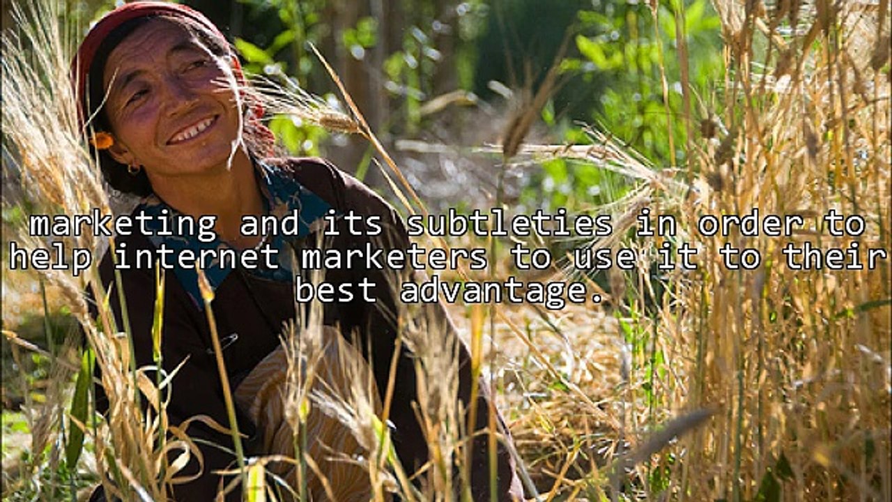 Article Marketing - A Newbies Guide To Article Marketing