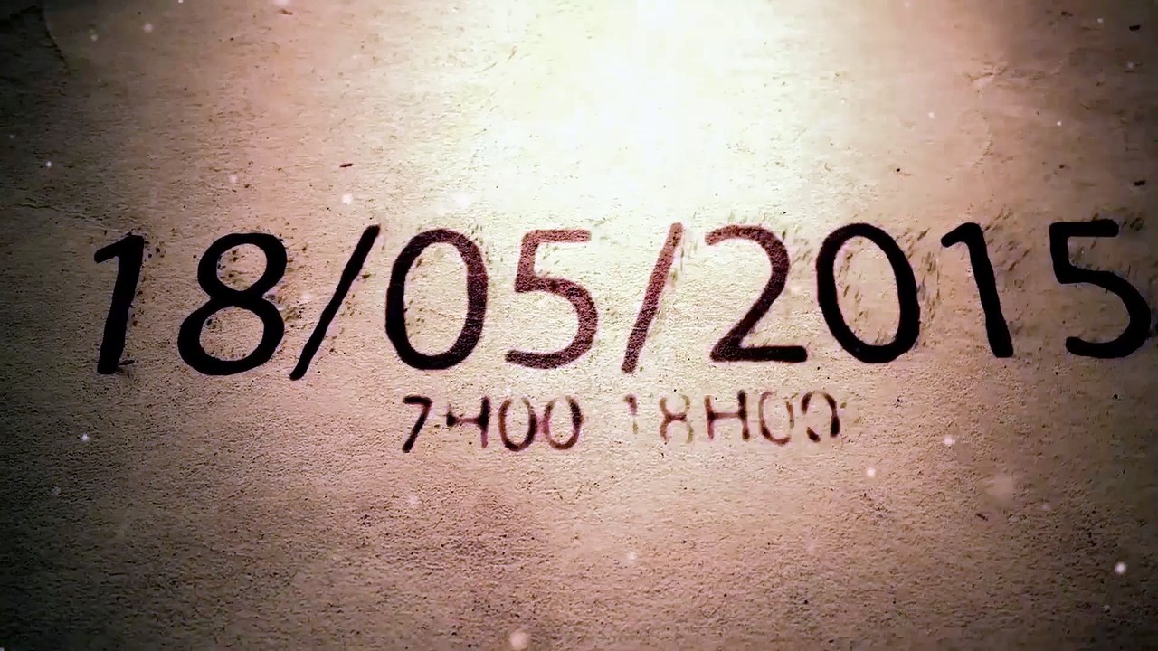 trailer i do 11