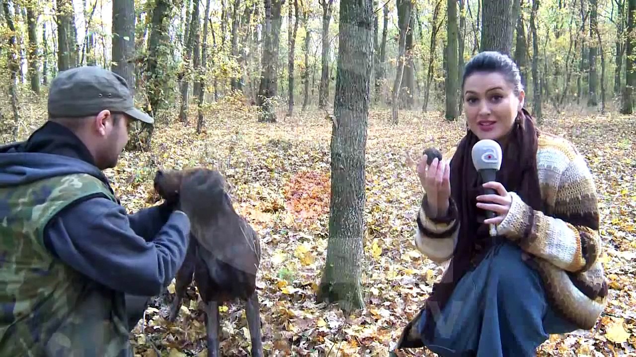 ÎN CĂUTAREA DIAMANTELOR NEGRE